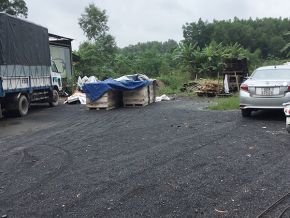 Sawing timber for export according to required specifications 12