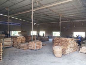 Sawing timber for export according to required specifications 05