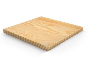 Provide all kinds of wood 11