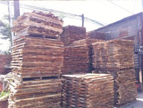 Sawing timber for export according to required specifications 07