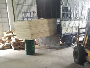 Sawing timber for export according to required specifications 13