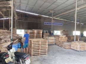 Sawing timber for export according to required specifications 02