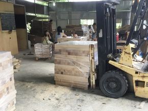 Sawing timber for export according to required specifications 11