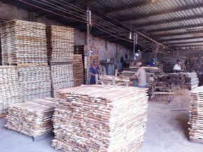 Sawing timber for export according to required specifications 03