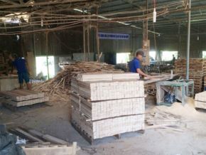 Sawing timber for export according to required specifications 01