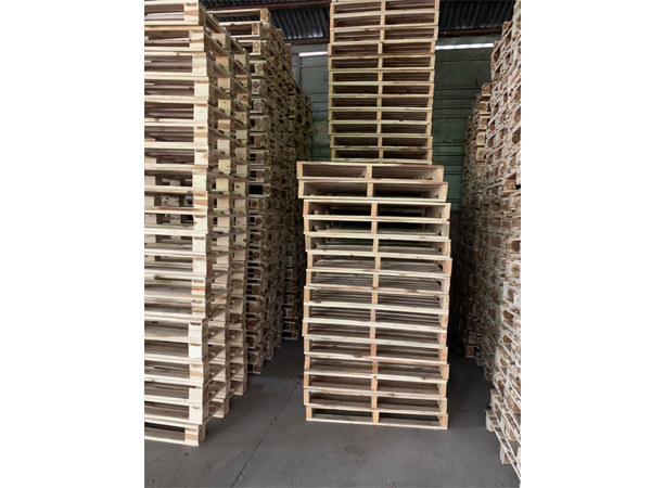 Wood pallet 15
