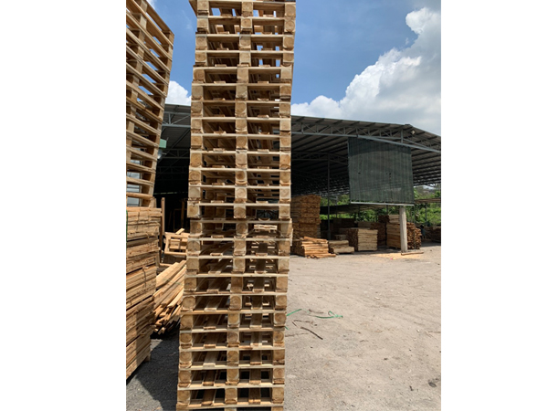 Pallet gỗ 20